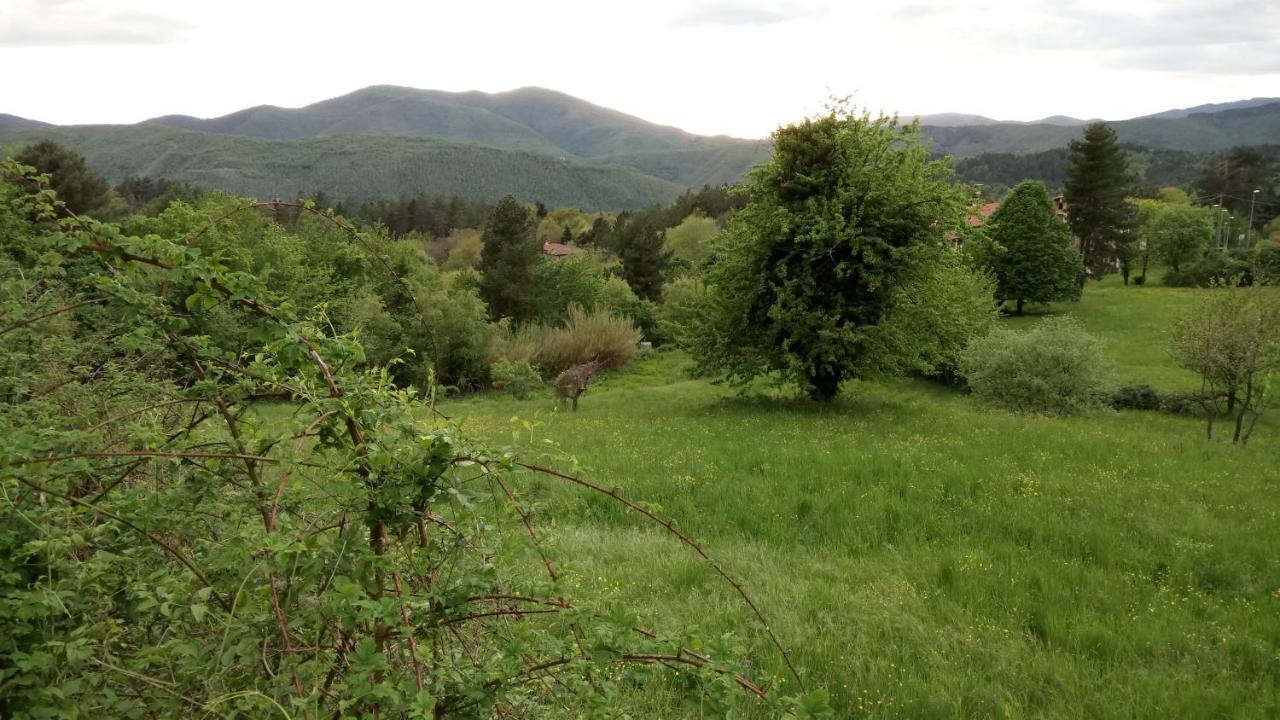 Casa Bartolacci Charme In Bivigliano ภายนอก รูปภาพ