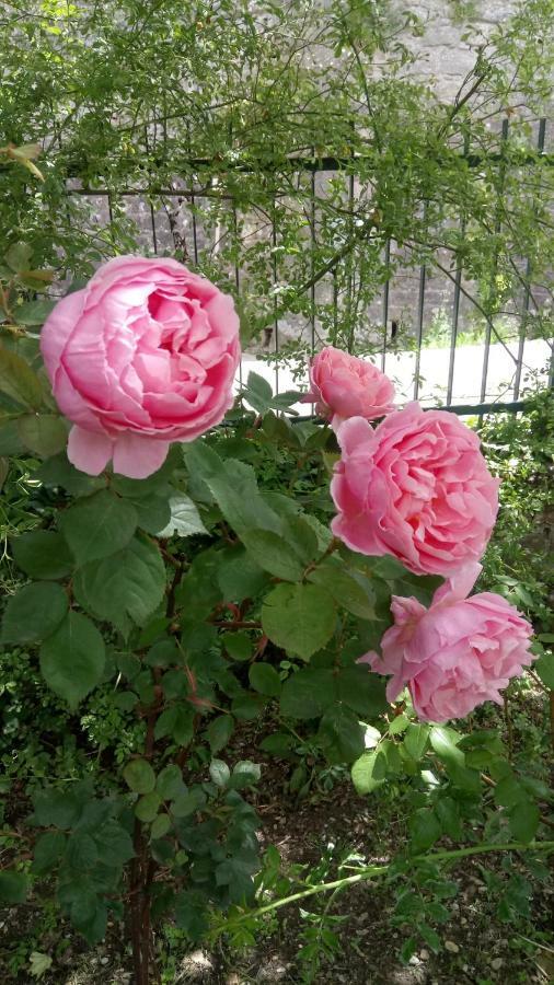 Casa Bartolacci Charme In Bivigliano ภายนอก รูปภาพ