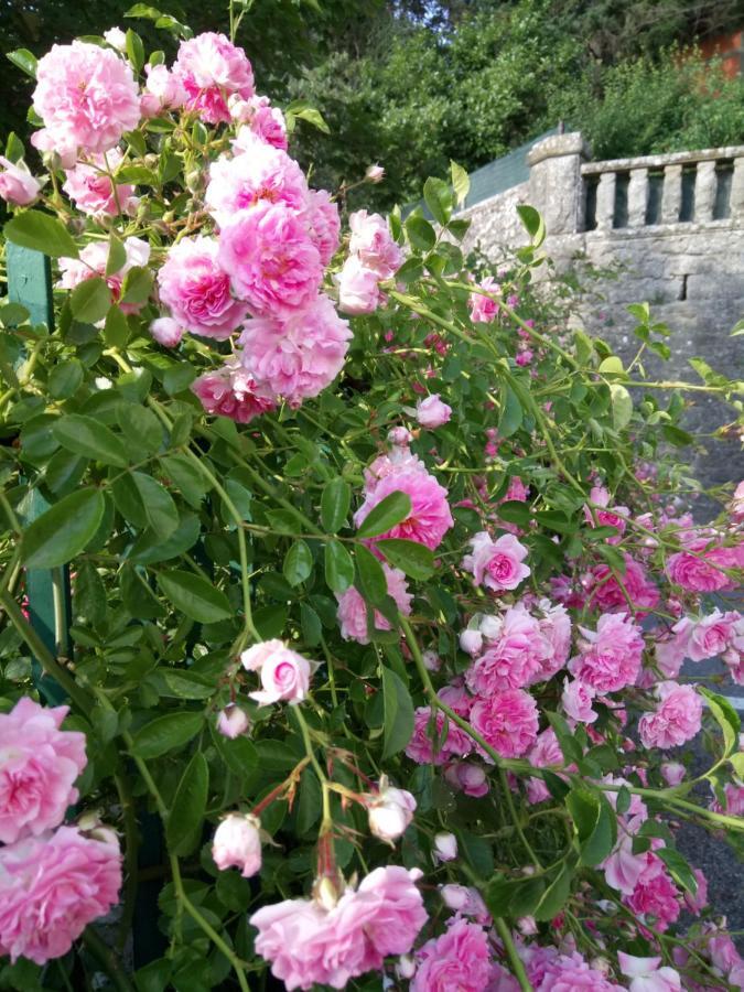 Casa Bartolacci Charme In Bivigliano ภายนอก รูปภาพ